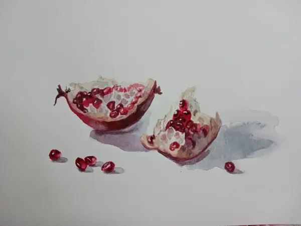 Утренняя симфония граната, акварель — Elena Chudinova