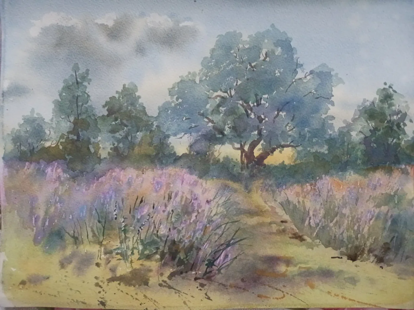 Тайна полей, акварель — Elena Chudinova